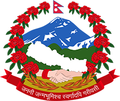 Government of nepal national planning commission central bureau of statistics
